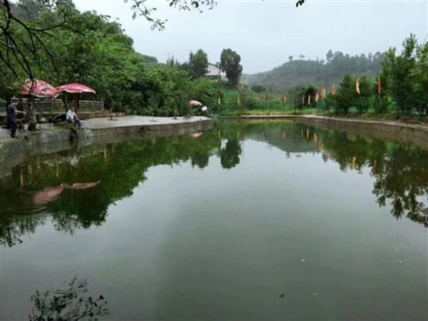 桃园山庄转让