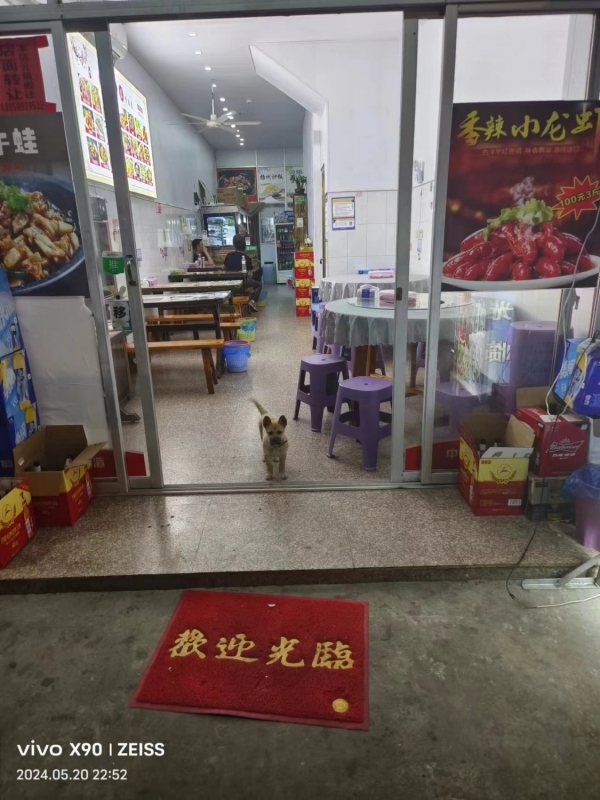 平阳县水头镇营业中餐饮店转让！