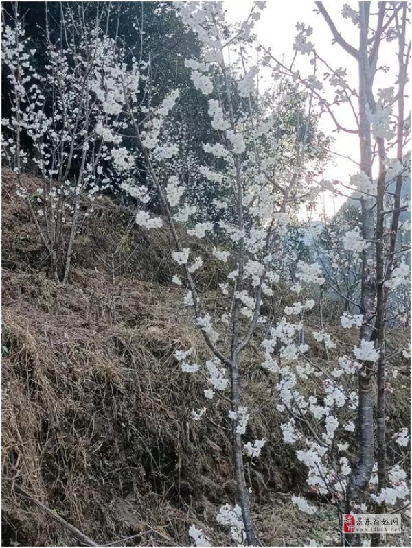 商铺图片