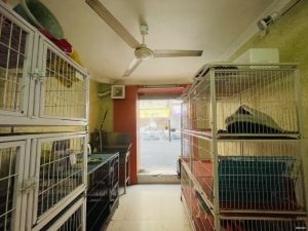 10年精装修宠物店转让