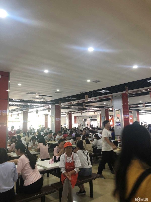 (转让)铜陵职业大学食堂窗口招租，无需洗碗无需专业大厨0租金！