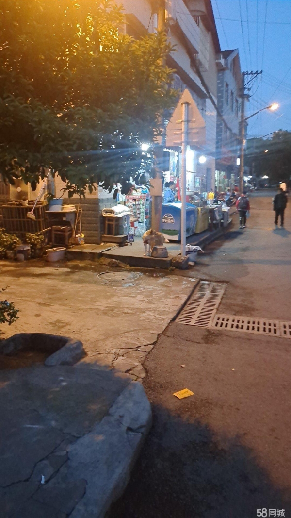 商铺图片