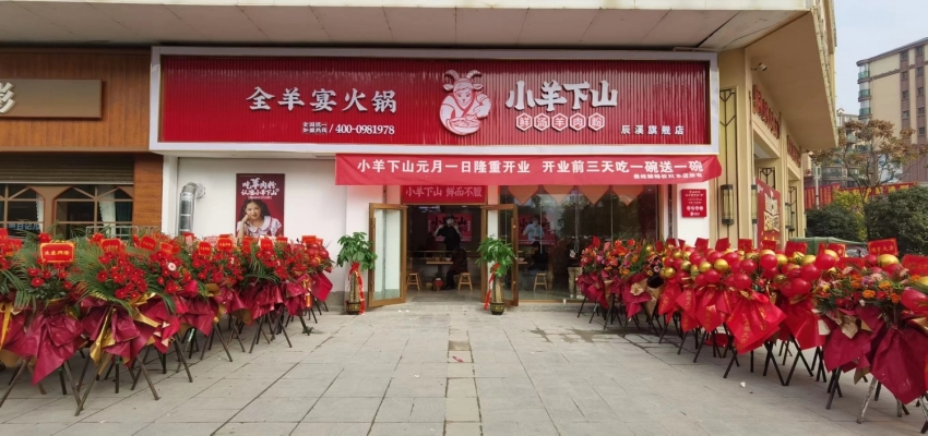 辰溪小羊下山旗舰店