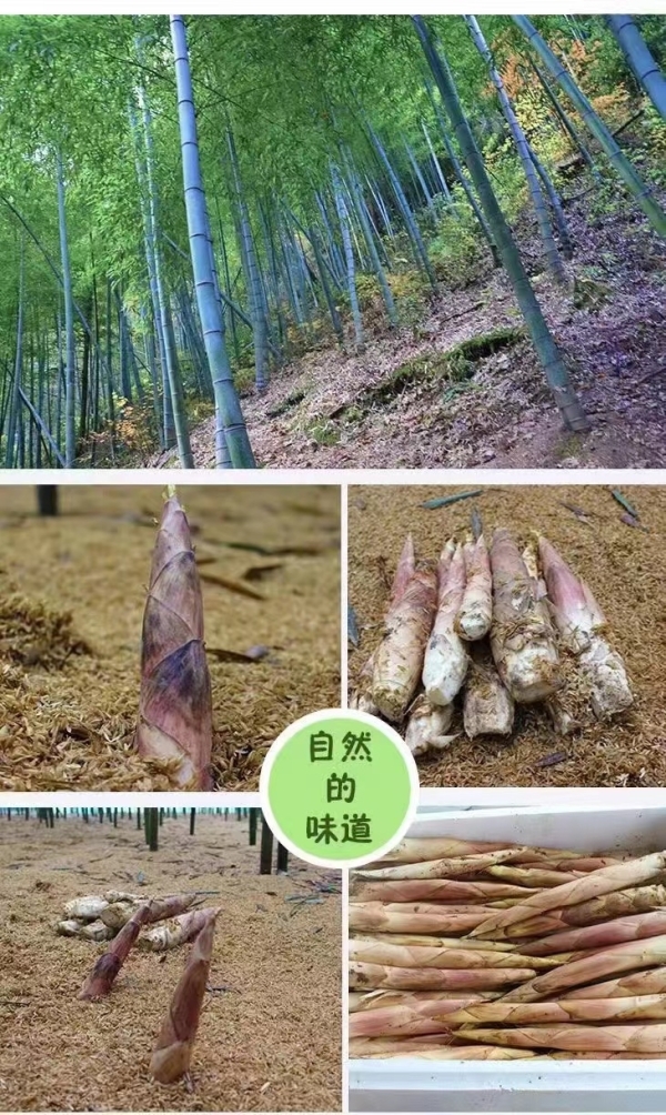 商铺图片