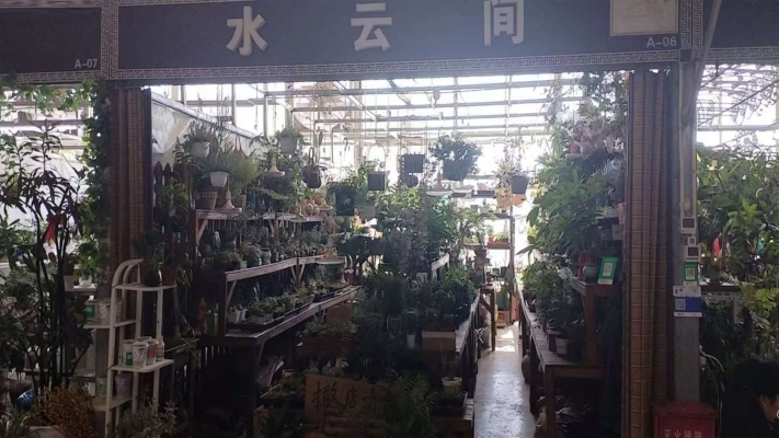 固安县城东花卉市场旺铺转让！