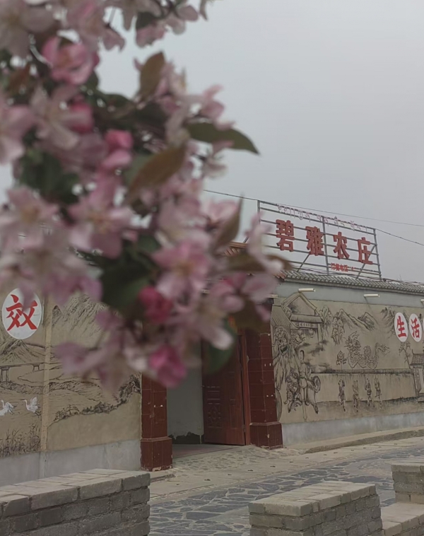 商铺图片