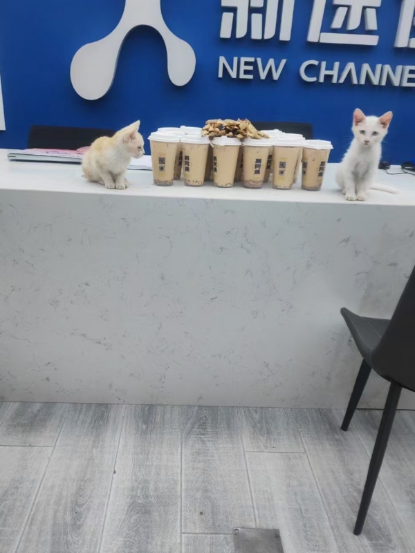 商铺图片