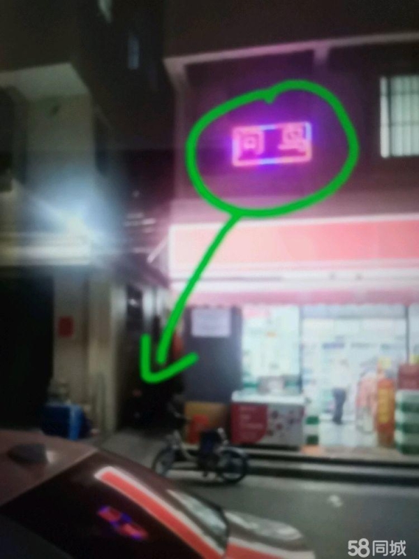 (转让)问鸟硅胶娃娃体验馆营业中