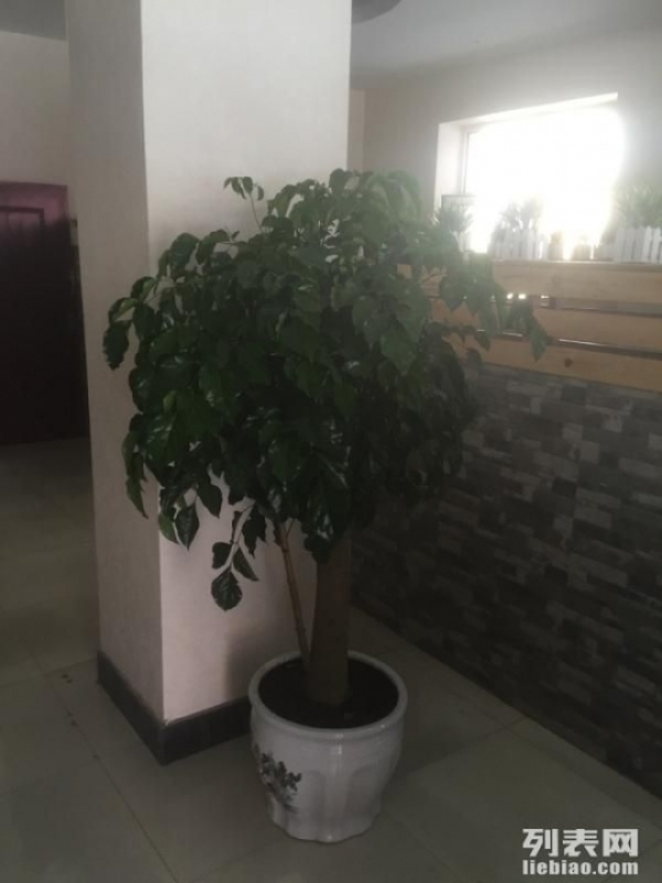 赔钱出兑烧烤店