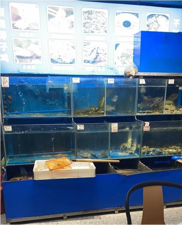 日入万元临街餐厅转让