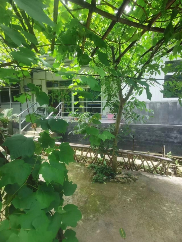 商铺图片