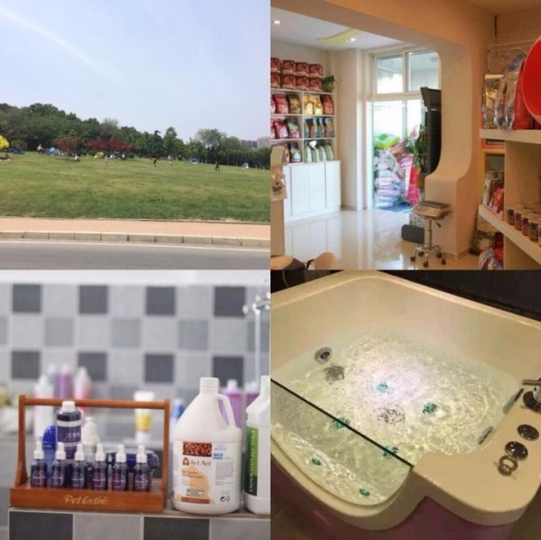 宠物店出兑