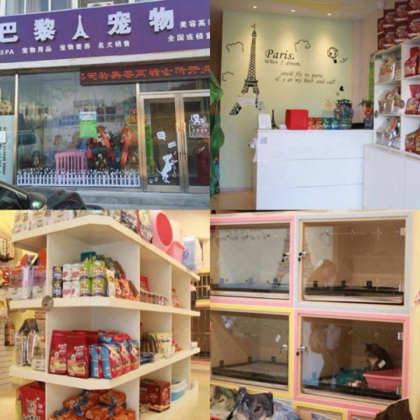 宠物店出兑