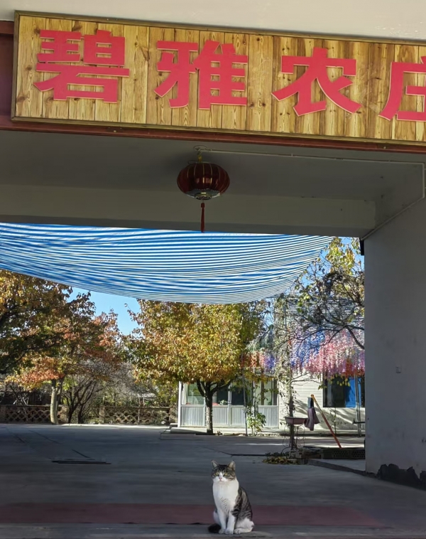 商铺图片