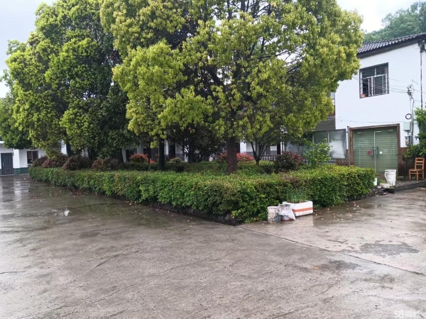 (转让)地址发展大道宜洋后汽车市场石板村二组