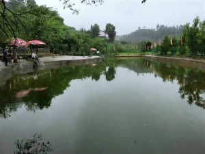 桃园山庄转让