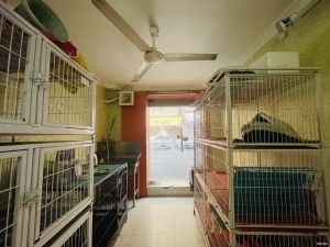 10年精装修宠物店转让