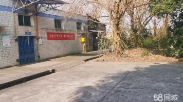 (出租)场地出租|适合厂房车间，库房等