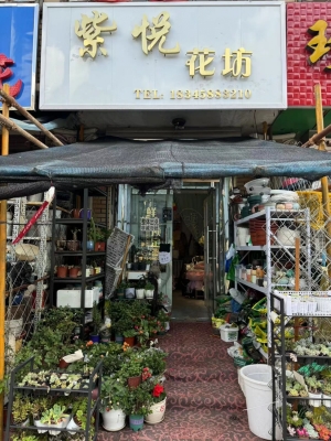 伊春区二百货花店一条街紫悦花坊急转！