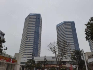 九龙湖成熟小区沿街店面带稳定租约出售，单层铺只要15000              