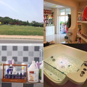 宠物店出兑