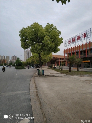(转让)新城夜市新址一楼门面