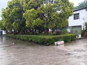 (转让)地址发展大道宜洋后汽车市场石板村二组